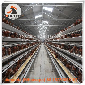 Mexico Poultry Farm A Type Battery Layer Cage & Hot Galvanized Cage & Hen Cage with 120 birds in Shed