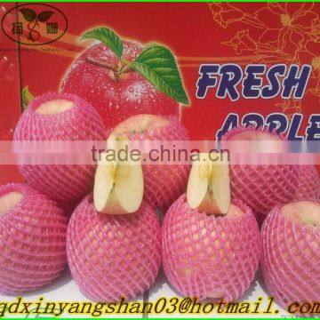 Wholesale Price Apple Fruit From China/Fresh Apples photo-2