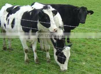 3mm Farm Fence / Cattle Fence Netting / Grassland Fence