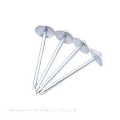 Africa Umbrella Head With Roofing Nails Galvanize Umbrella Head Roofing Nails photo-2