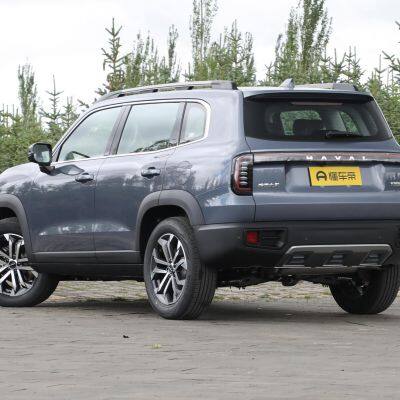 Haval Big Dog photo-3