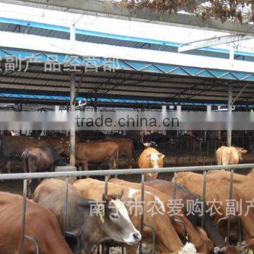 Animal for Drying Bags Wood Sawdust Bedding photo-4