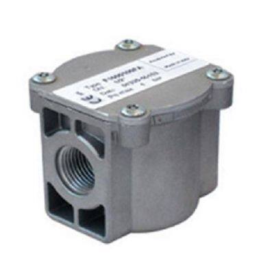 Fiorentini 10001/02 Gas Filter: High-Efficiency Filtration for Reliable Gas Systems