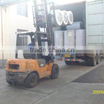 Spunbond Nonwoven Fabric/polyester Mat for Waterproof Material photo-4