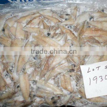 Frozen California Squid Price