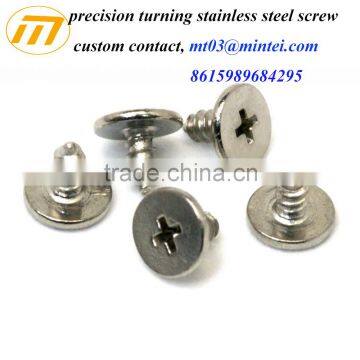 custom stainless steel precision micro screw