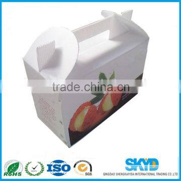 Folding Corrugated Plastic Box for Fruits Vegetables