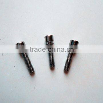 OEM frame screw