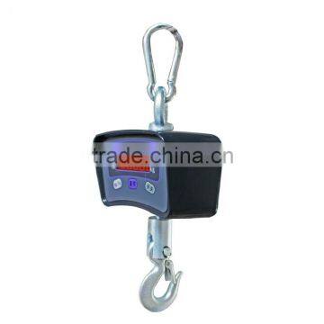 Stainless Steel Weighing Crane Scale 3T