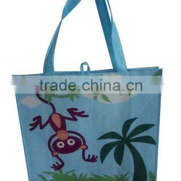 PP Non Woven Shopping Bag