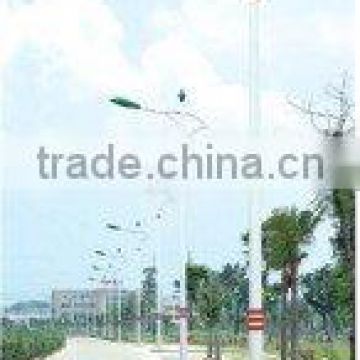 Modern Sodium Road lamp DL-33304