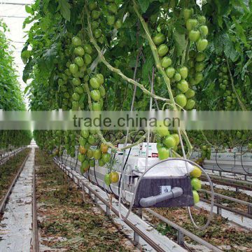 poly film greenhouse