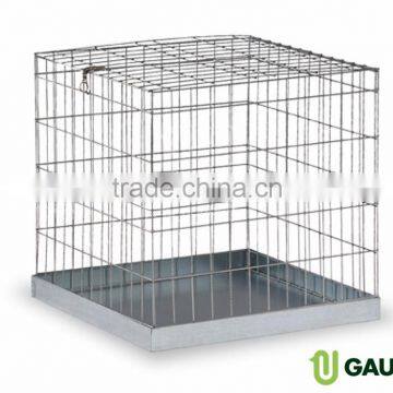 Show cage for dogs small