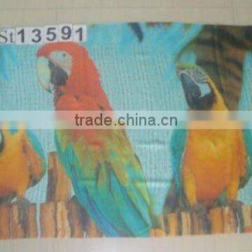 Viscose Digital Printed Shawls