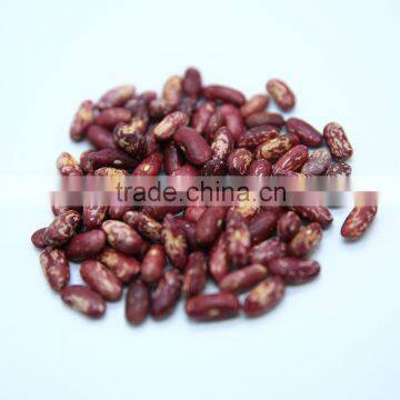 Red Speckled Kidney Beans photo-5