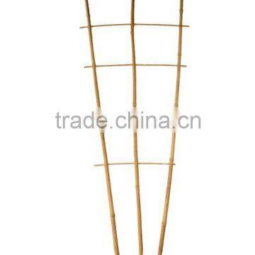 Bamboo Trellis - Bamboo rack for vine