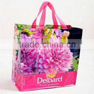 Wenzhou Foldable Wholesale pp Woven Polypropylene Children School Book Bag photo-4