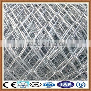 pvc coated/ galvanized welded chicken wire mesh