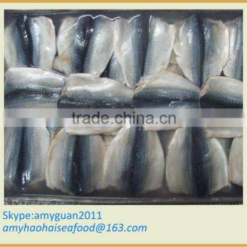 Frozen fish Mackerel flaps(SCOMBER JAPONICUS)