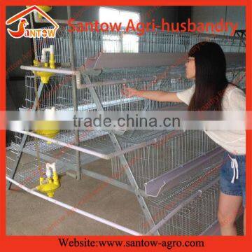 New design full automatic cages laying hens