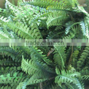 silk boston fern bush large
