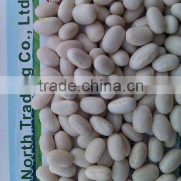 Japanese white kidney bean 2013 crop, Heilongjiang origin, Hps)