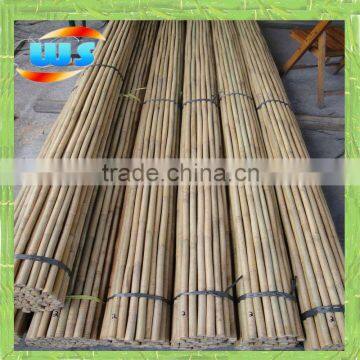 Bamboo stick is used for climbing plants vines