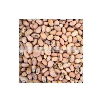COW PEAS