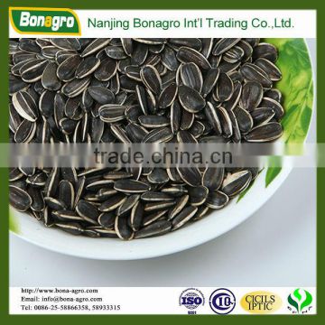 Wholesale Sunflower Seeds AmericanType