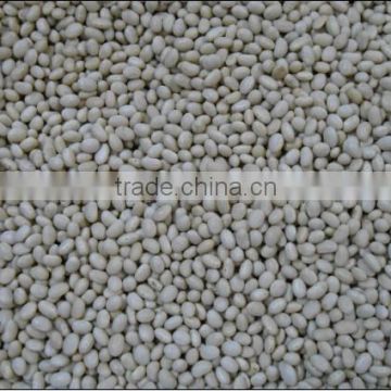 navy beans white kidney beans,white beans,kidney beans,chinese navy beans