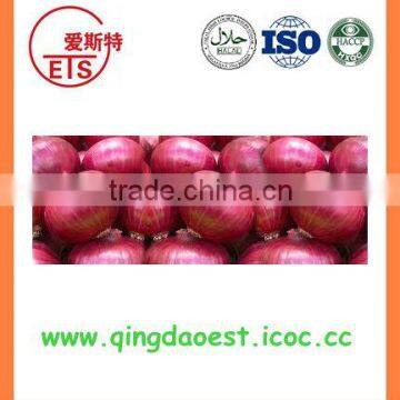 Best quality fresh onion PRODUCTS from china with high quality