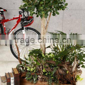 Perfect Waterproof Wooden Planter Box for Indoore Gardening