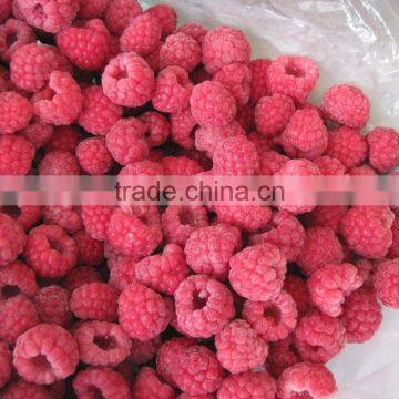 New Crop iqf raspberry