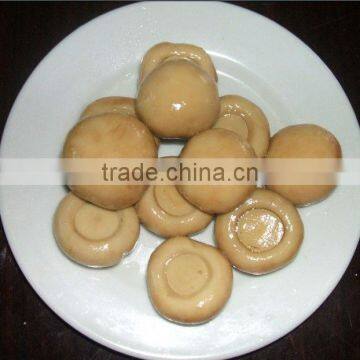 seasoning button champignon button mushroom