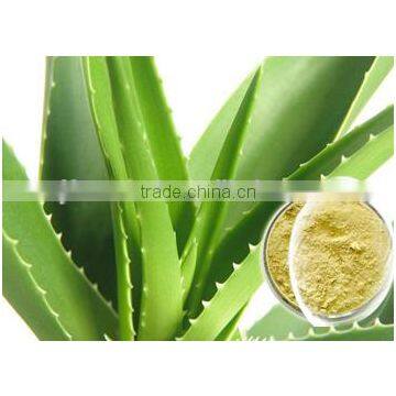 China Stevia ISO, GMP, HACCP, KOSHER, HALAL Certificated photo-6