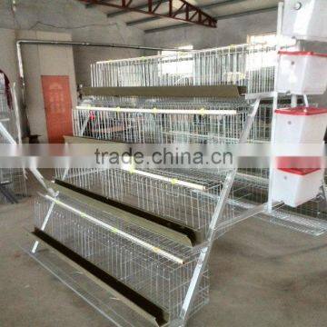 A type galvanized poultry farm design layer chicken cage