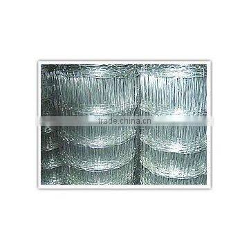 factory cheap 2"x3" electro-galvanized iron wire Filed fence for cow