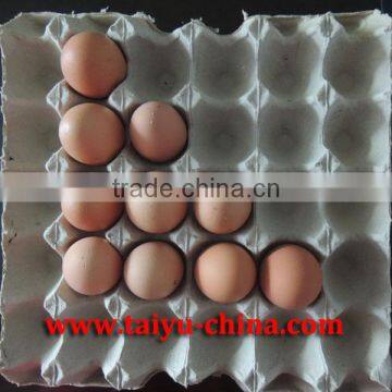 TAIYU Recycling waste paper egg tray