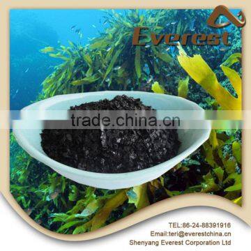 Global warranty affordable price best organic fertilizer dried seaweed seller