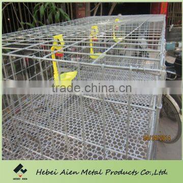 chicken cage for sale in philippines