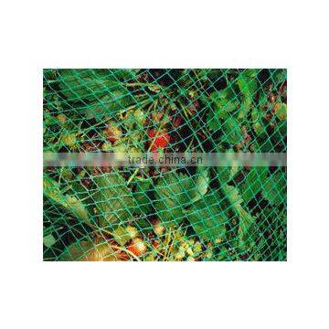 orchard Net, professional agriculture net, plant support net
