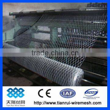 Hexagonal Wire Mesh & Hexagonal Wire Netting & Chicken Wire Mesh photo-4