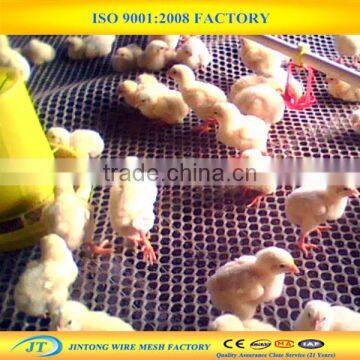 plastic poultry net /plastic flat mesh for chicken duck