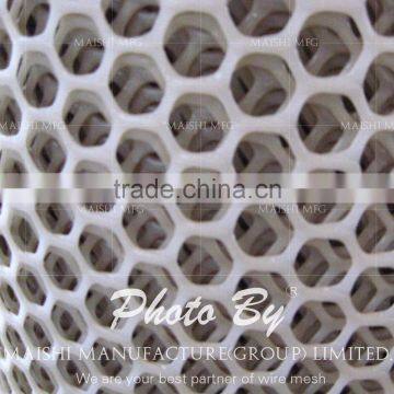 Hexagonal Shape Grass Protection Mesh photo-3