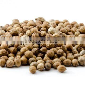 Coriander Seeds photo-3