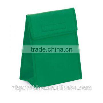 Non-woven Foldable Cooler Bag With Handle for Promtional photo-3