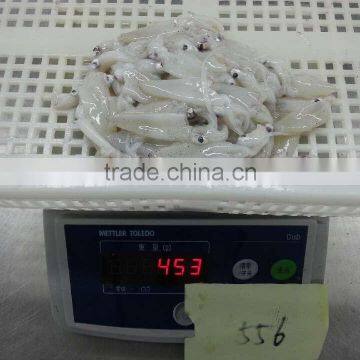 Grade A BQF Baby Squid Loligo Japonica photo-4