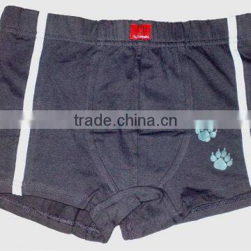 Mens Boxer Brief photo-2