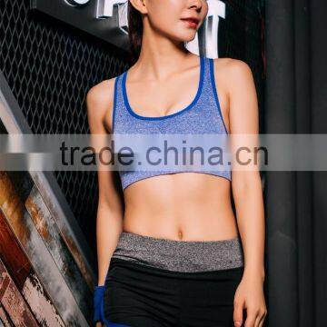 Hot Sexy Lady Sport Bra With Beautiful Colors photo-5