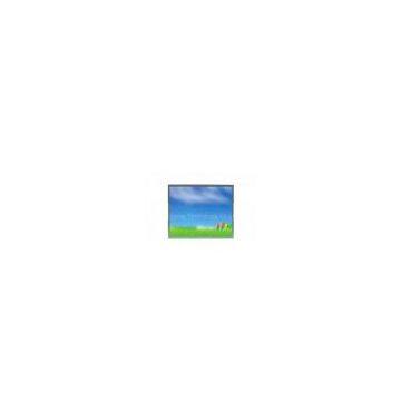 17 Inch 1280*1024 Pixels 8bit + FRC AC 100~240V outdoor Industrial Touchscreen LCDMonitor